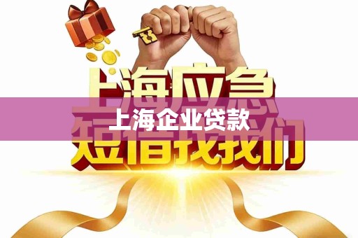 上海企业贷款 上海企业贷款